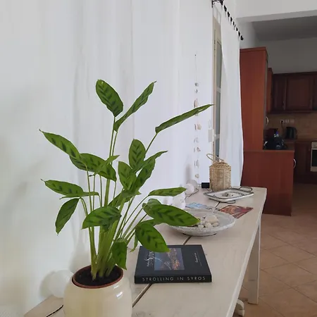 Asia Appartement